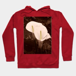 Sepia Calla Lily Pair Hoodie